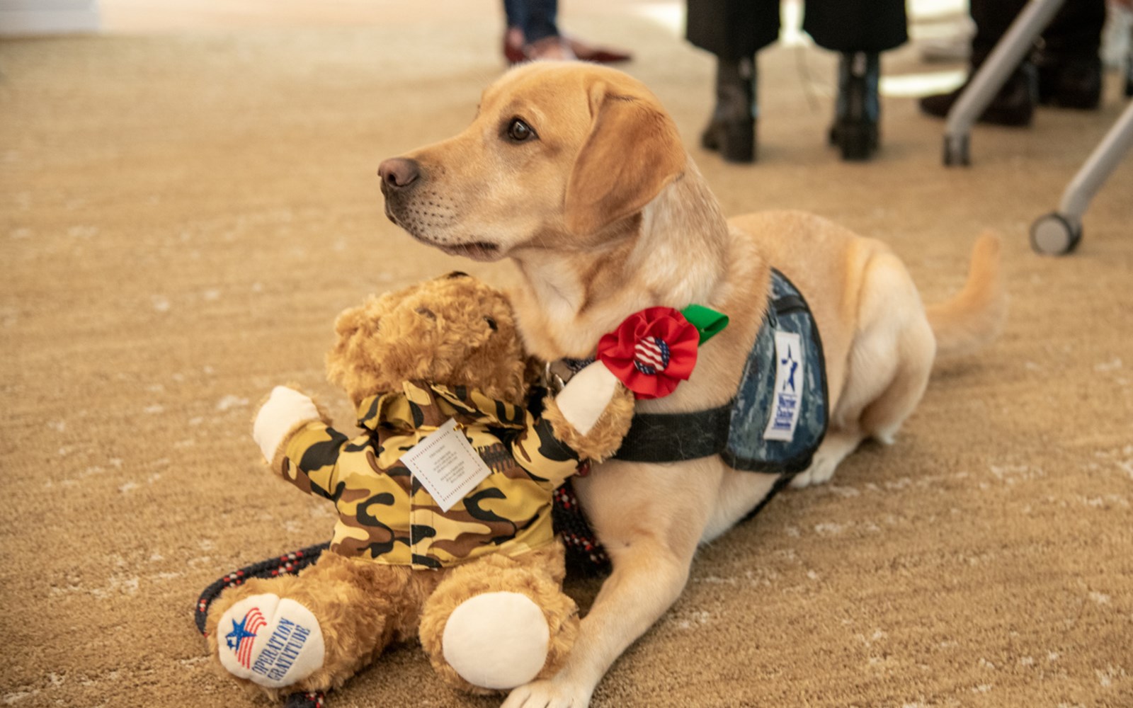 Volunteers assembled Battalion Buddy Bears, made paracord bracelets and wrote letters of gratitude