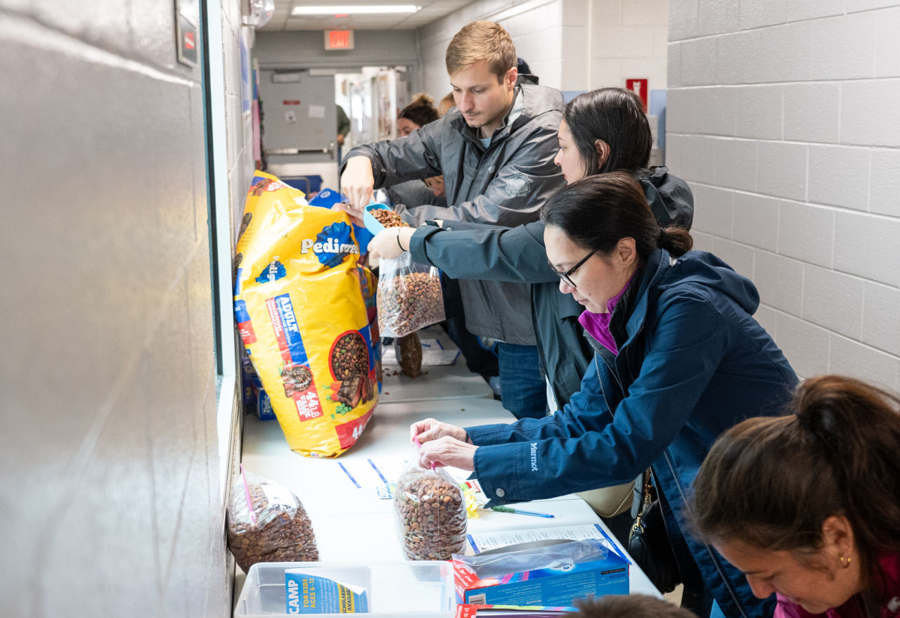 Animal Welfare League of Alexandria