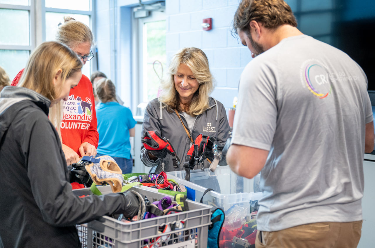 Animal Welfare League of Alexandria