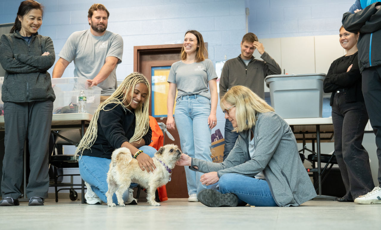 Animal Welfare League of Alexandria