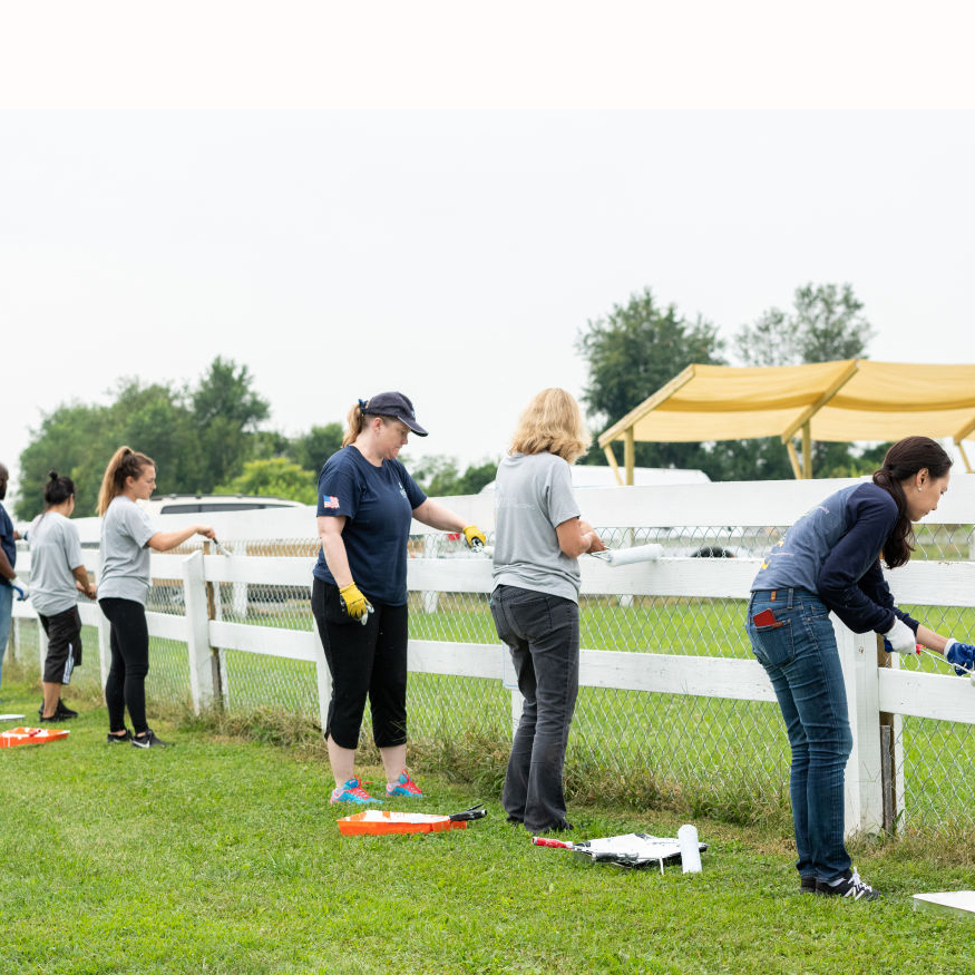 Warrior Canine Connection