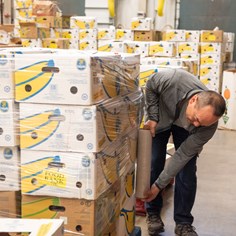 Employees volunteer at Capital Area Food Bank
