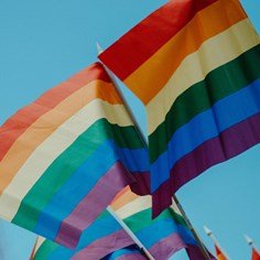 Pride Flags