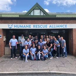 Employees visited the Humane Rescue Alliance to create and distribute dog rope and catnip toys